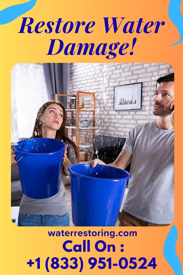 water restoration Vigilant Drying Brothers Frankston