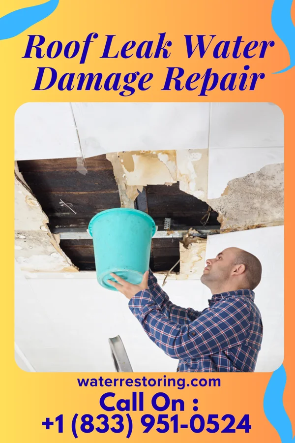 Roof Leak Water Damage Repair in Frankston, TX